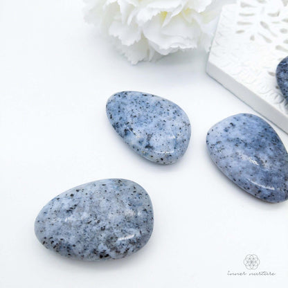 Dendritic Agate (Tree Agate) Palm Stone - Online Crystal Shop Australia | Inner Nurture - Ethically Sourced